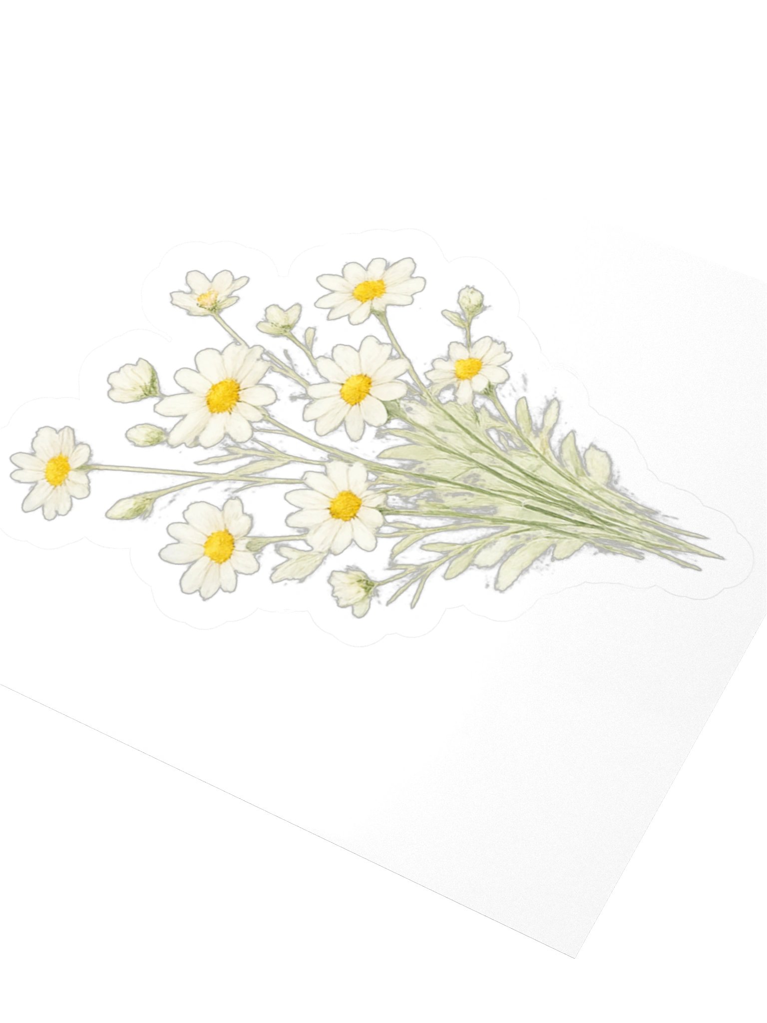 Wild Daisy Field Sticker — The Meadowlight Wildflower Collection product image (3)
