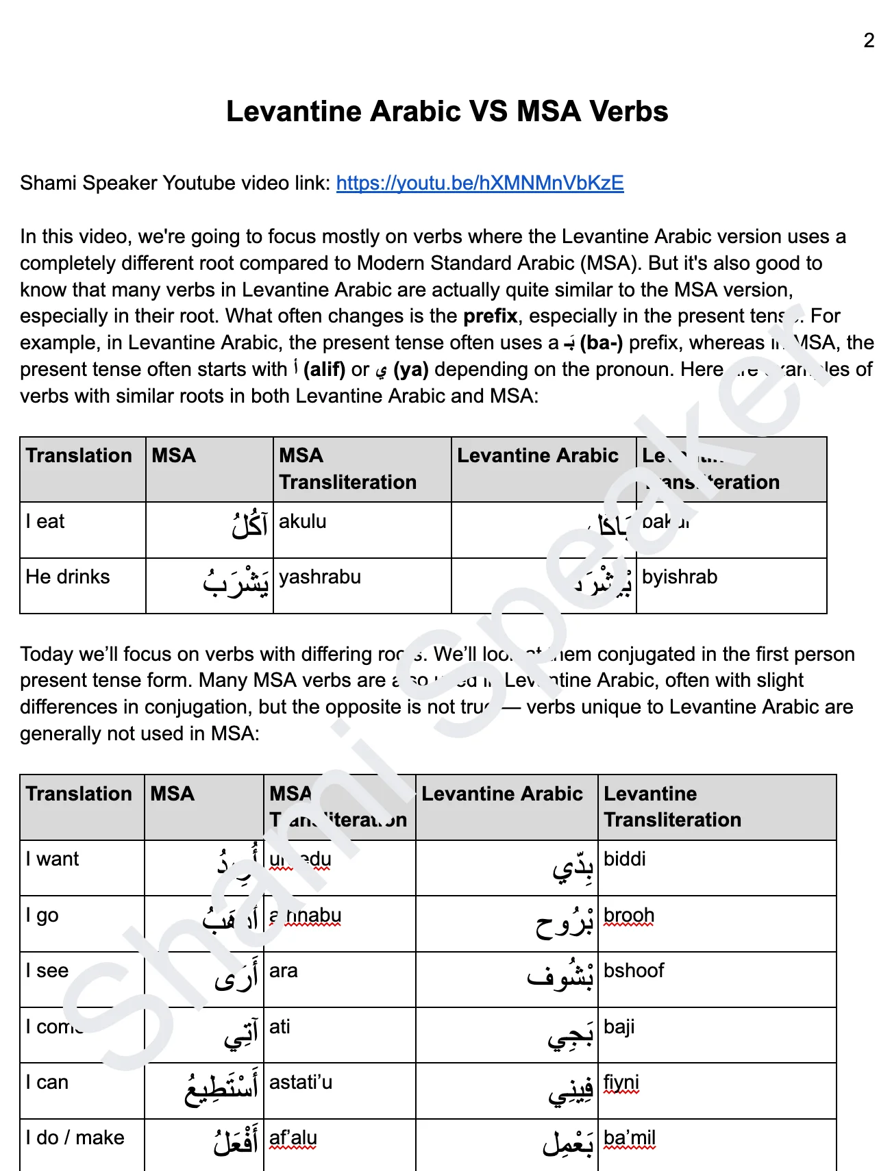 Levantine Arabic VS MSA Verbs product image (2)