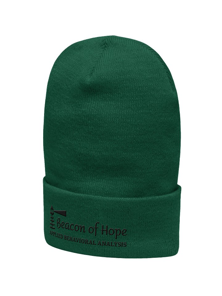 Beacon Cuffed Beanie product image (8)