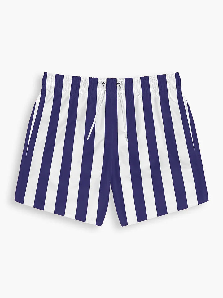 Montauk Swim Trunks product image (1)