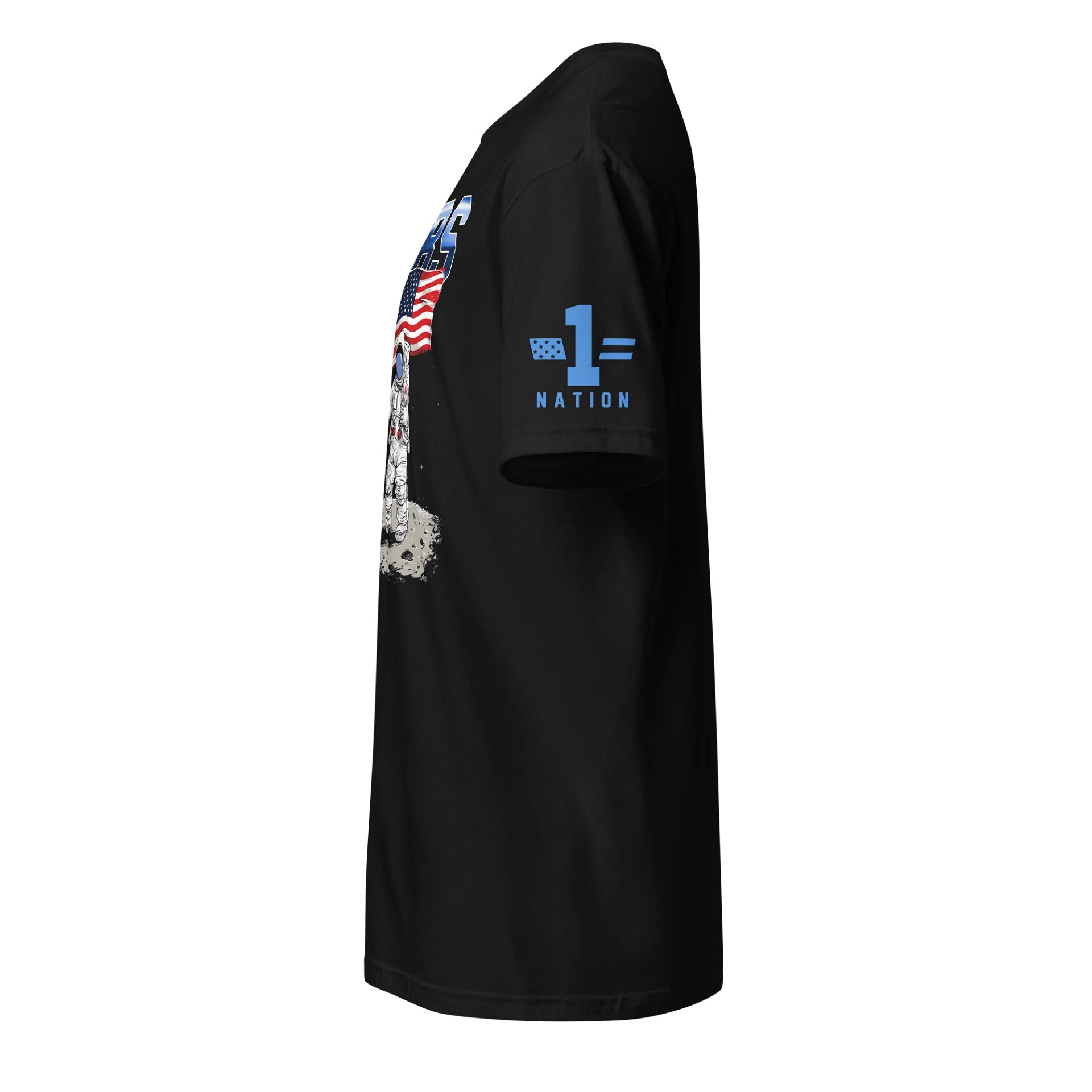 DIBS on the Moon product image (3)