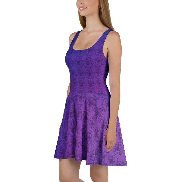 DTR Purple and Blue Skater Dress product image (1)