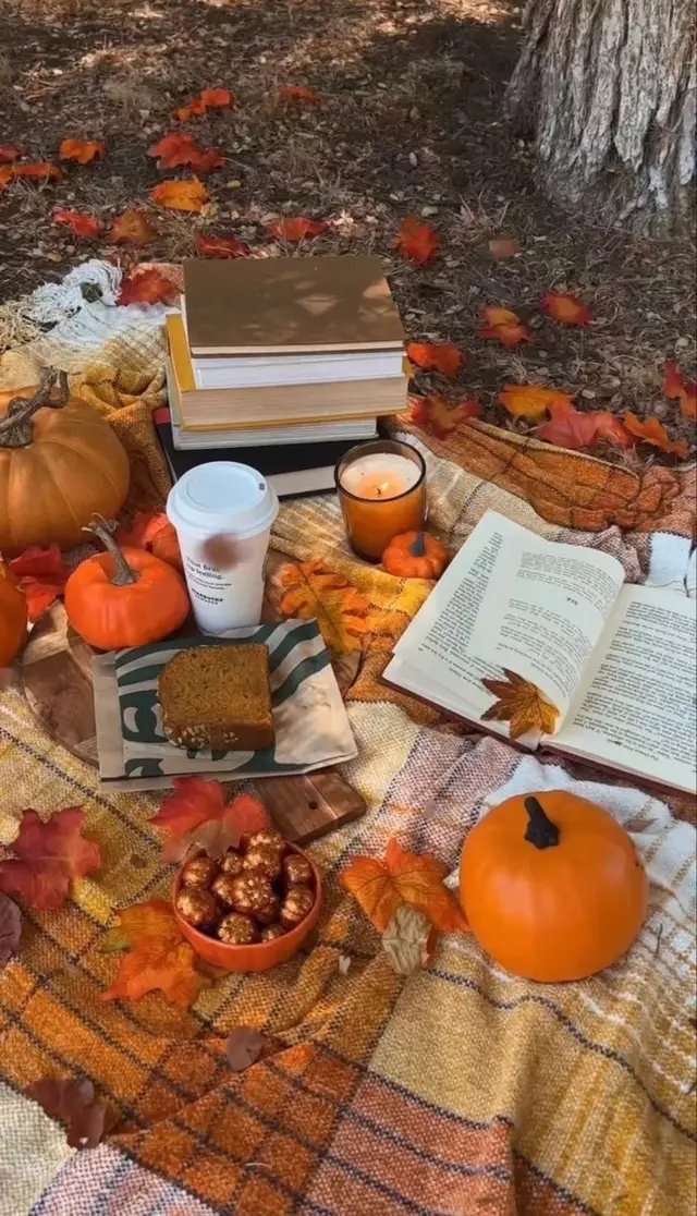 fall is here https://halloweenisalifestyle.wordpress.com/ #fall #horror #halloween #halloween #