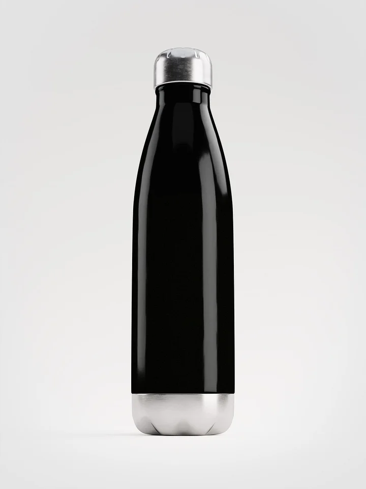 the plain black bottle product image (1)