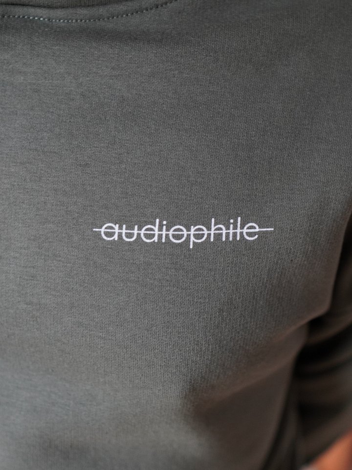 Oversized Not an Audiophile Hoodie product image (2)