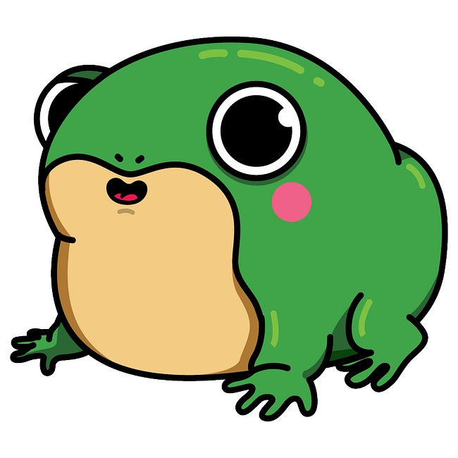 Anfibolita
