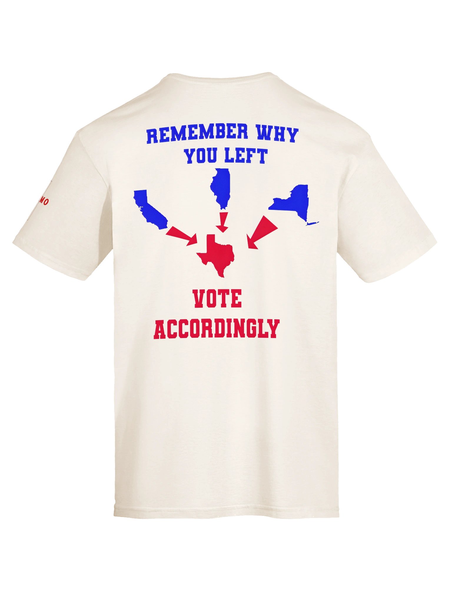 Vote Accordingly Texas product image (7)