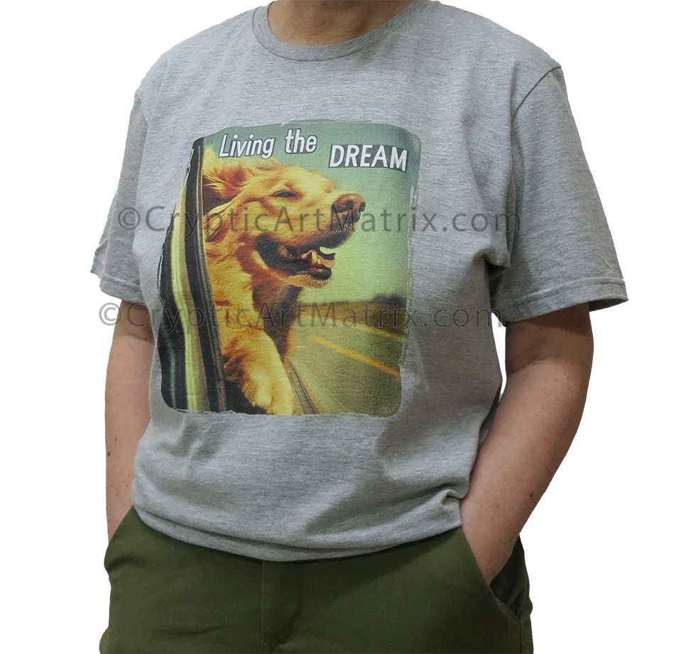 Dream Chaser Living the Dream - Unisex T-Shirt product image (25)