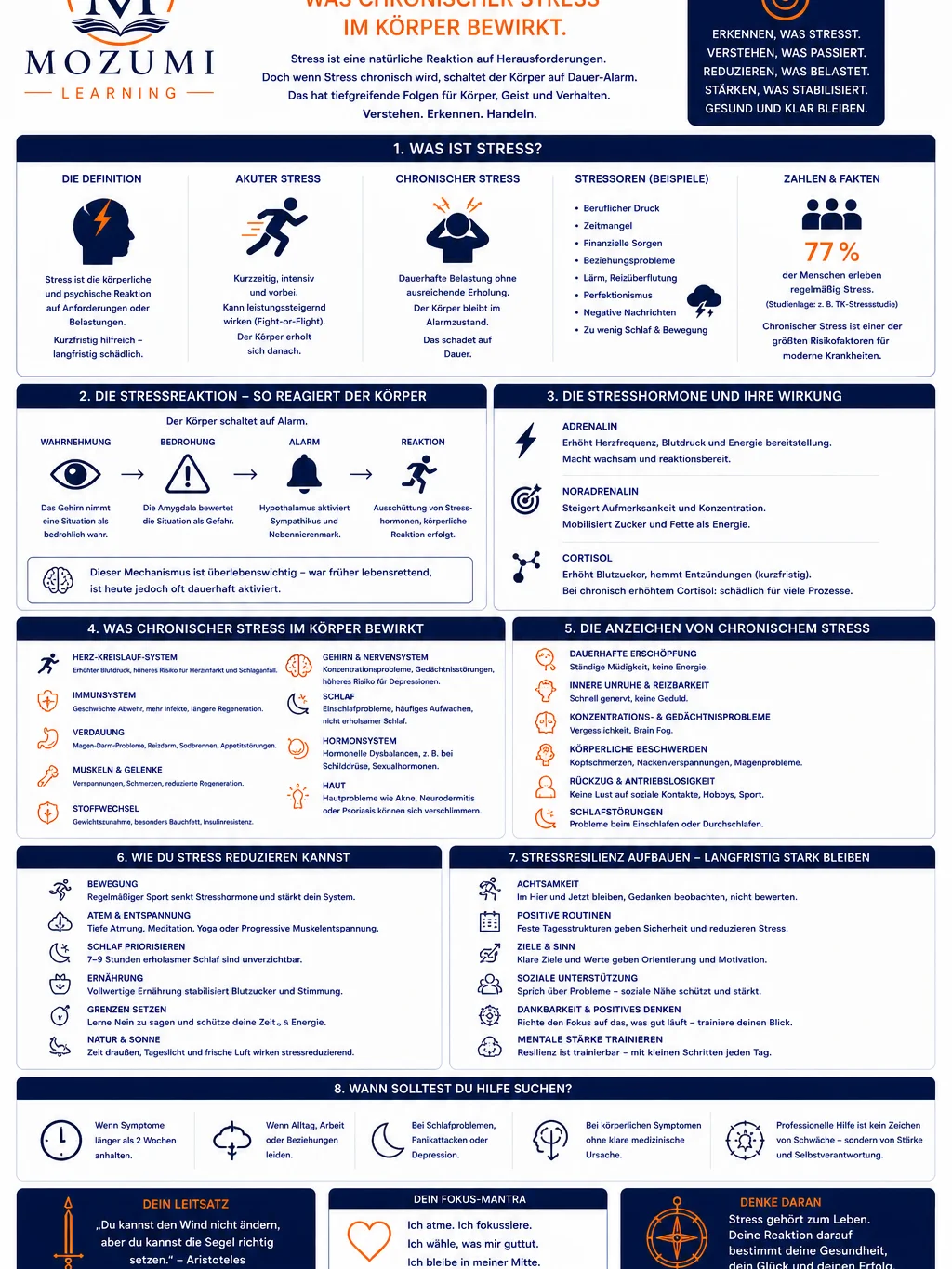 FITNESS & GESUNDHEIT - Infografik Nr. 4 (Stress verstehen) product image (1)