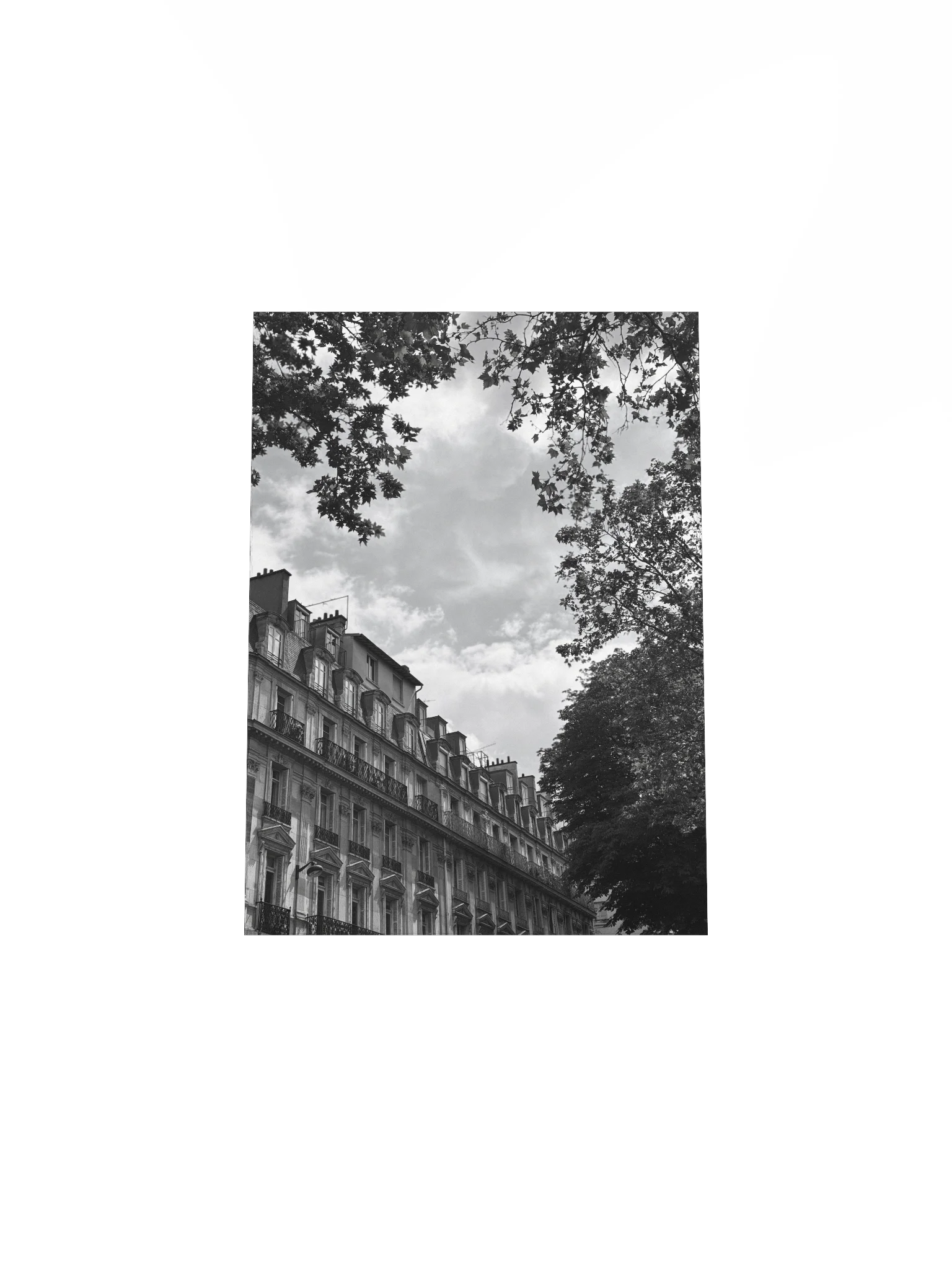 Toits ciel parisien dé-saturé (impression) product image (4)