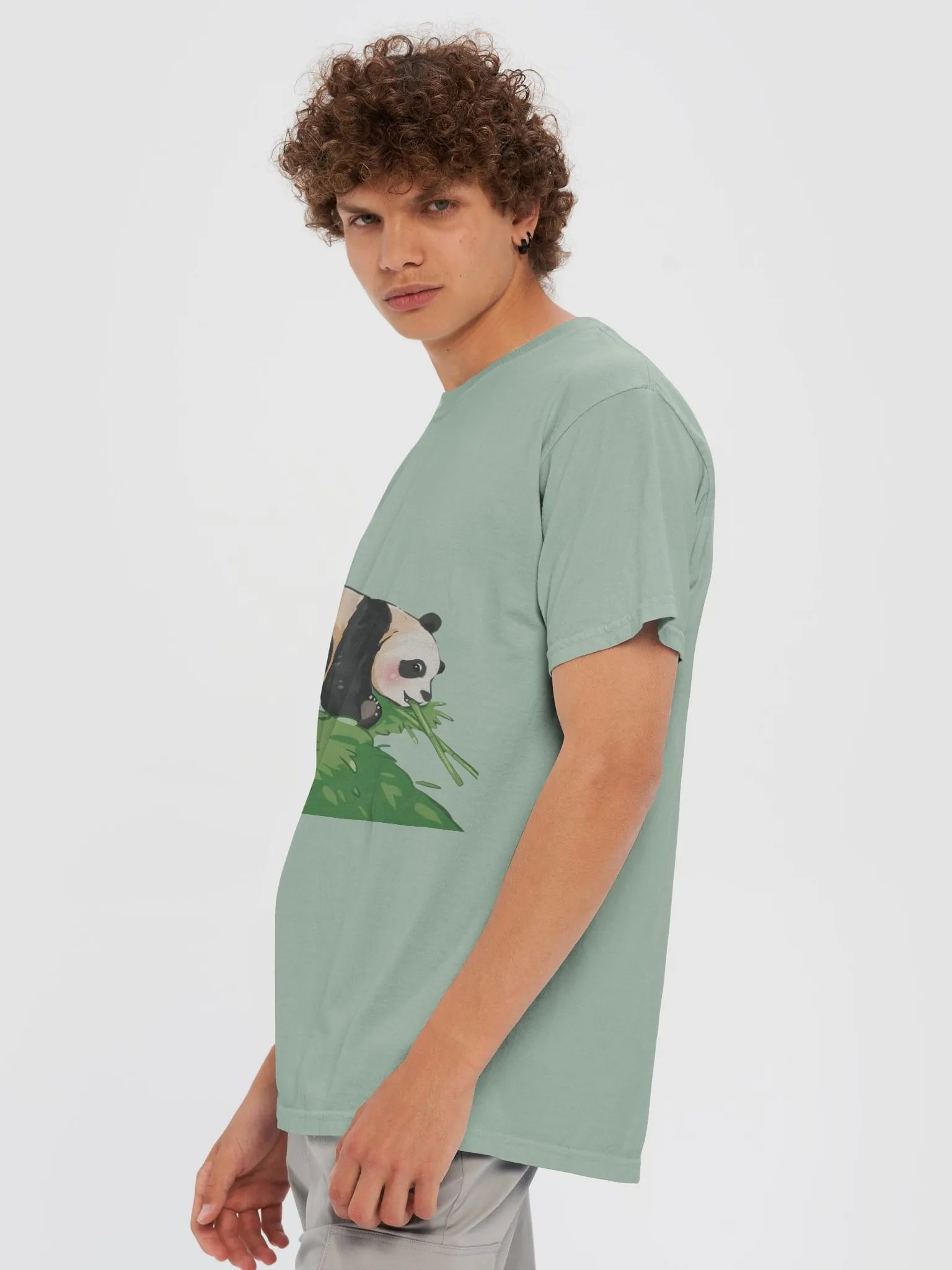FUBAO🐼Giant Panda product image (83)
