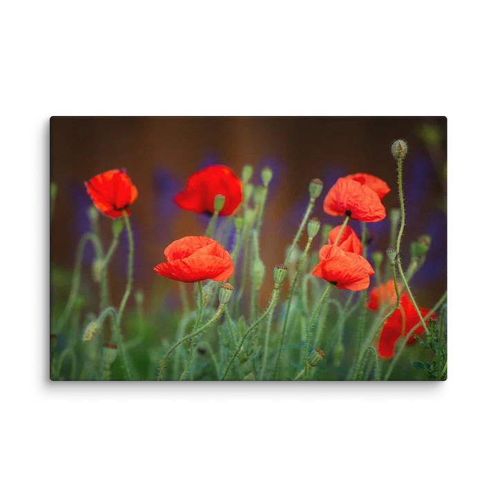 Vibrant Company Canvas Print product image (2)