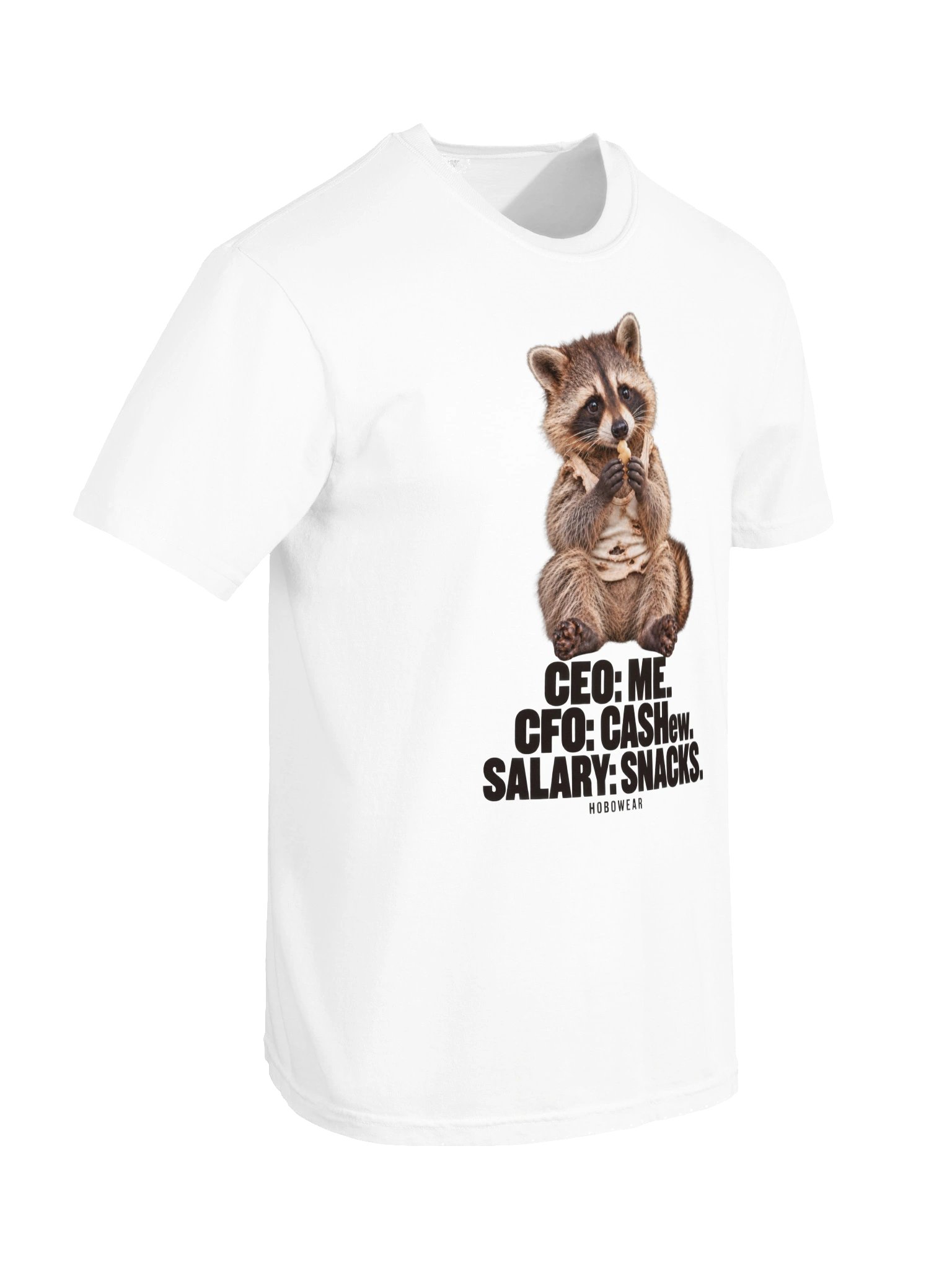 CASHew CFO Tee product image (29)