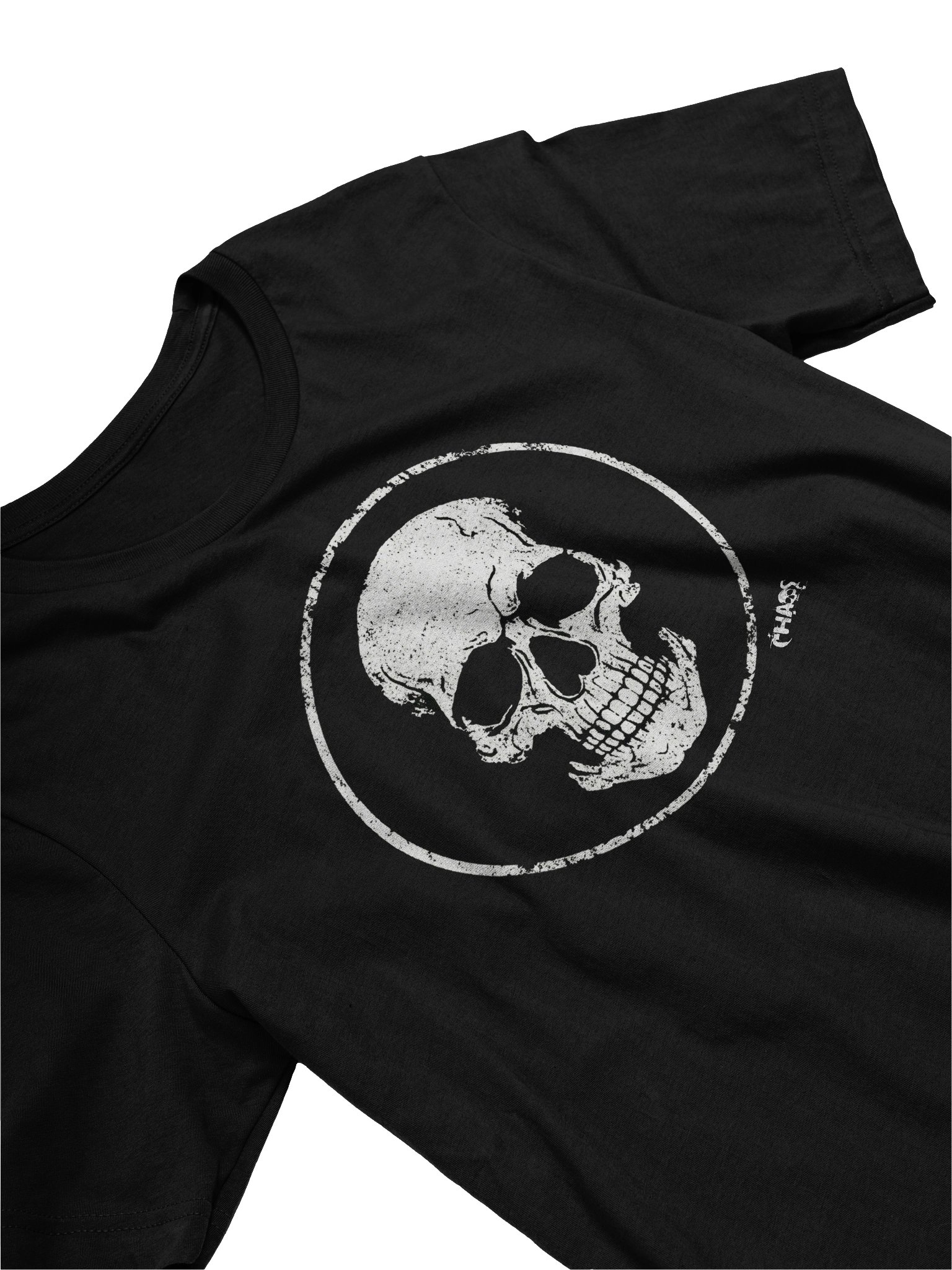 Skull product image (2)