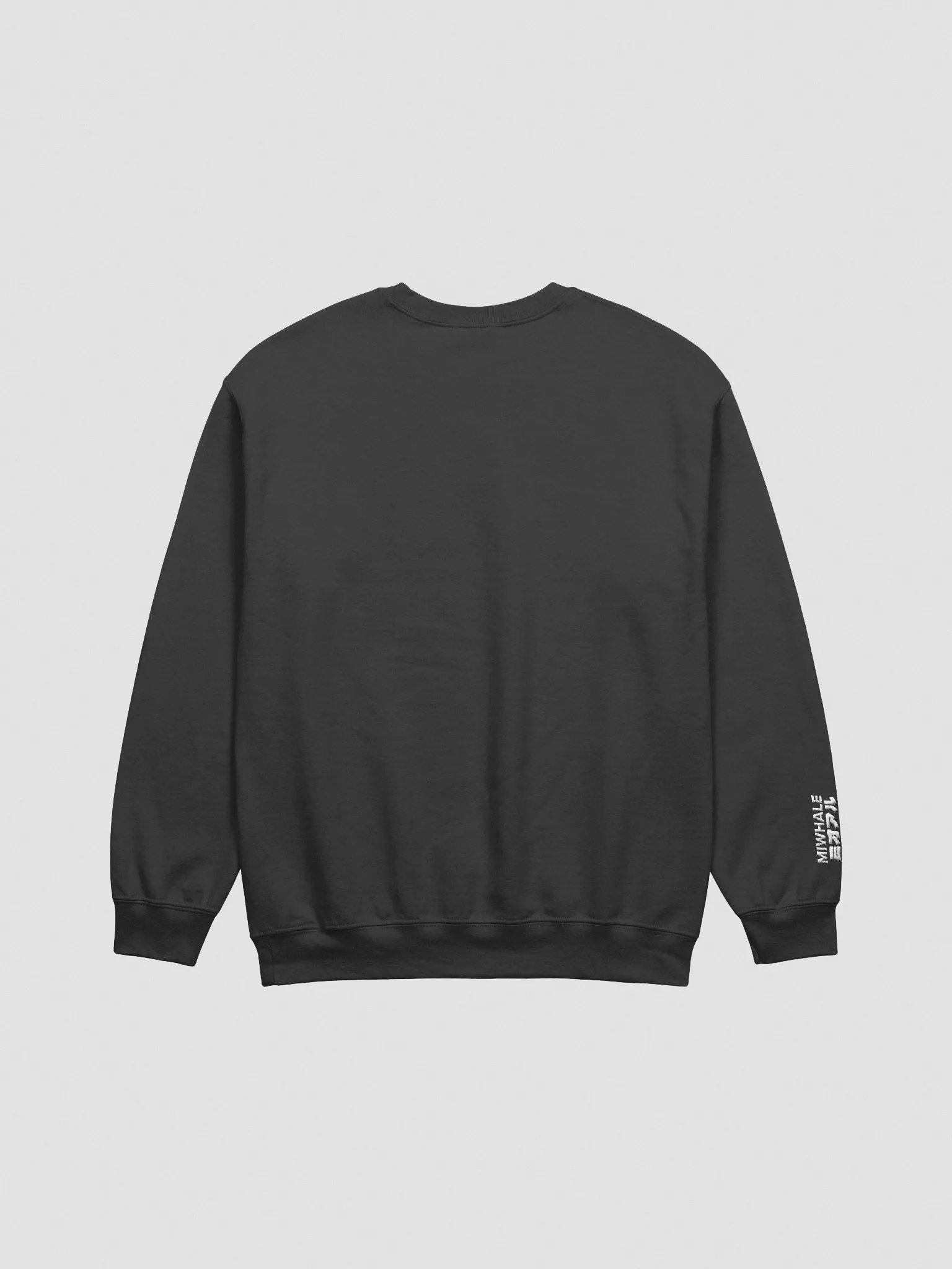Embroidered Sweatshirt product image (10)