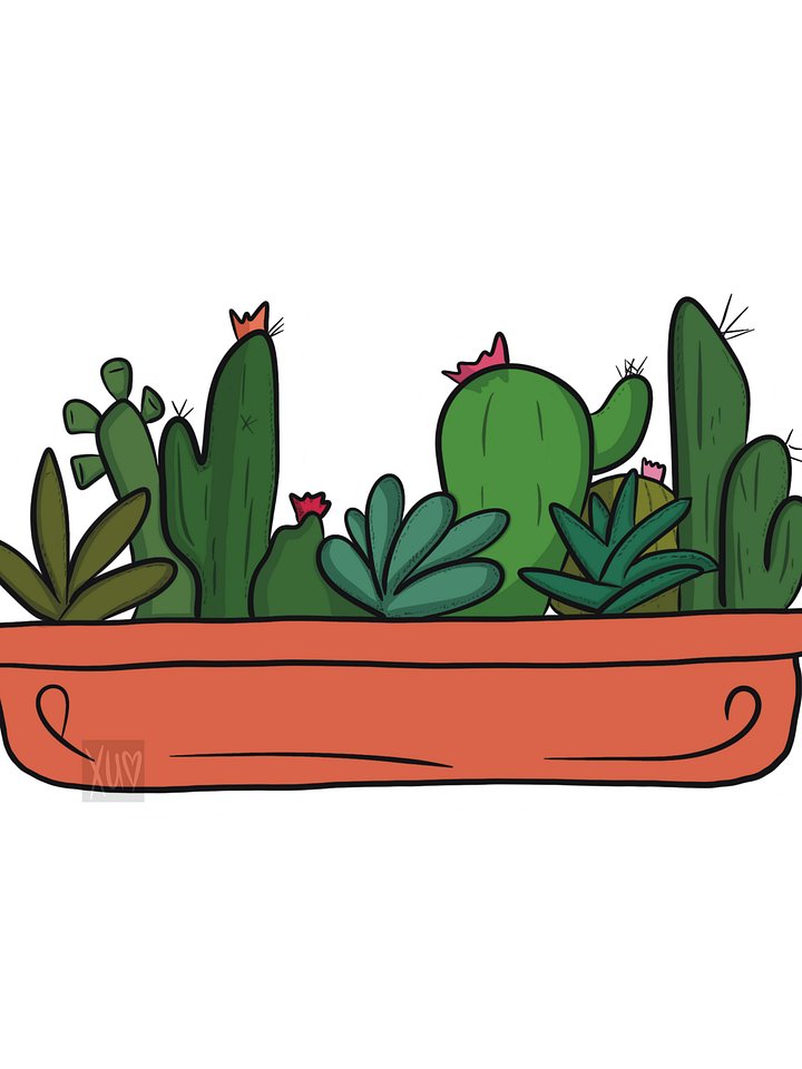 Cacti Garden product image (1)