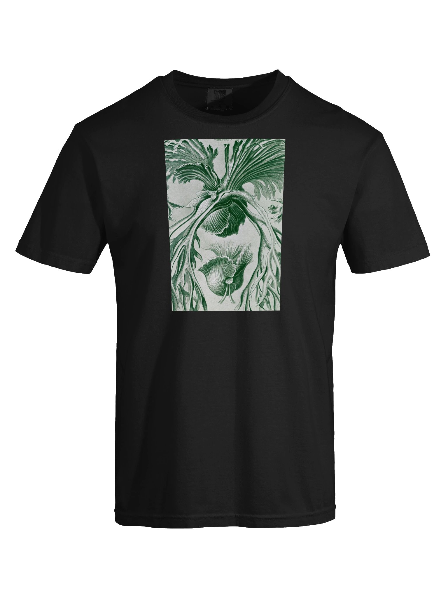 Staghorn Ferns Vintage Botanical Heavyweight T-Shirt product image (5)