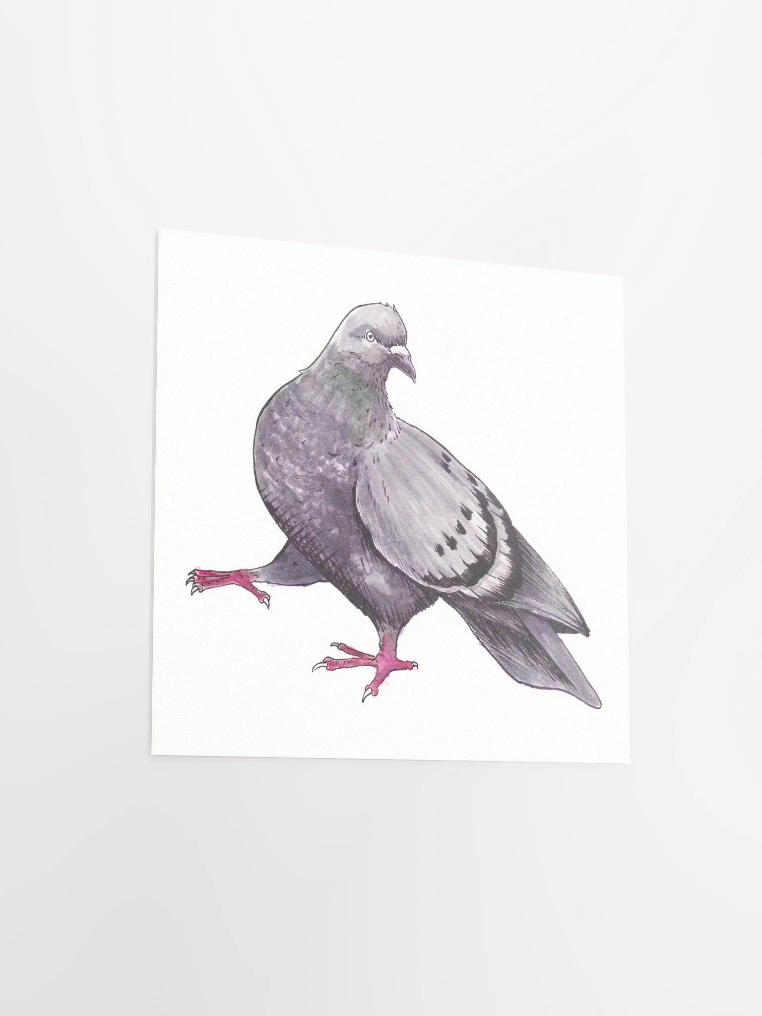 Pigeon Print product image (3)