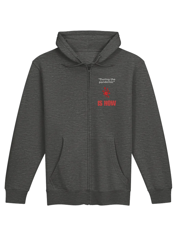 During The Pandemic Is Now zip hoodie product image (2)