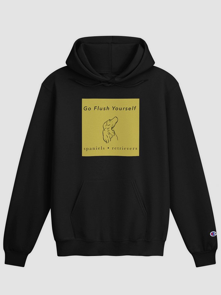 Alt GFY Black Champion Hoodie product image (1)
