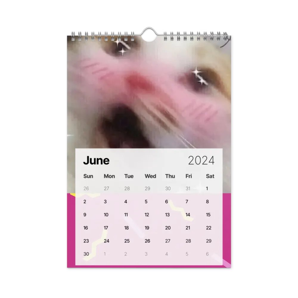 Wall Calendar (2024): Meme Cats product image (12)