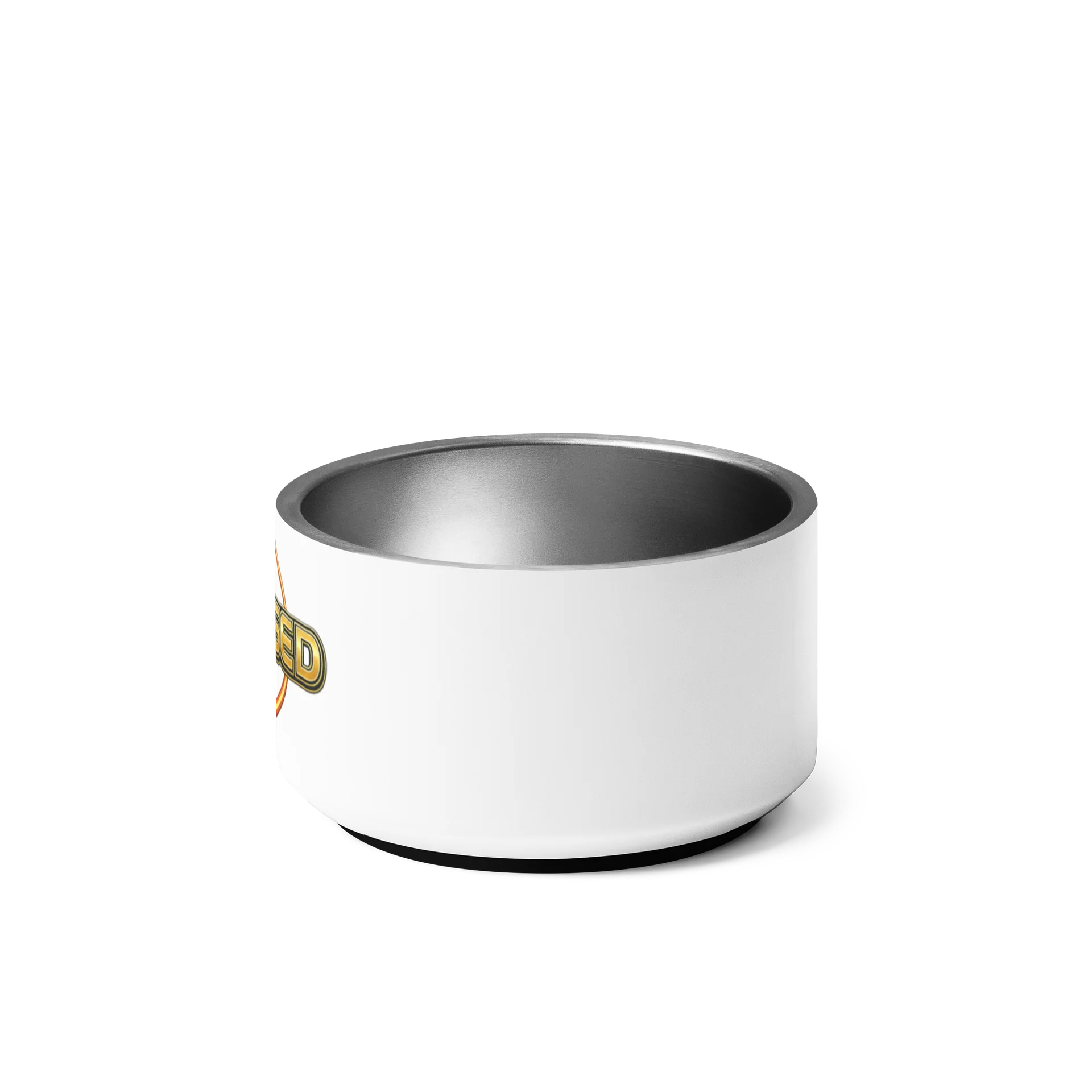 Eclipsed Raiders Pet Bowl product image (7)