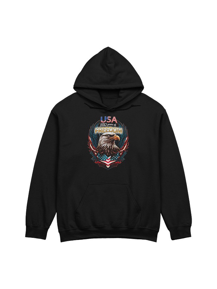 America 250 GENERIC Hoodie product image (2)