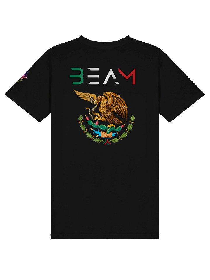 BEAM MEXICAN FLAG TSHIRT product image (2)