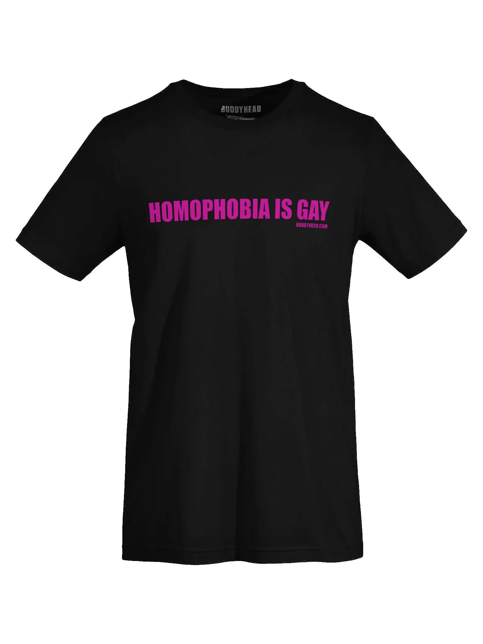 Homophobia Is Gay tee product image (34)