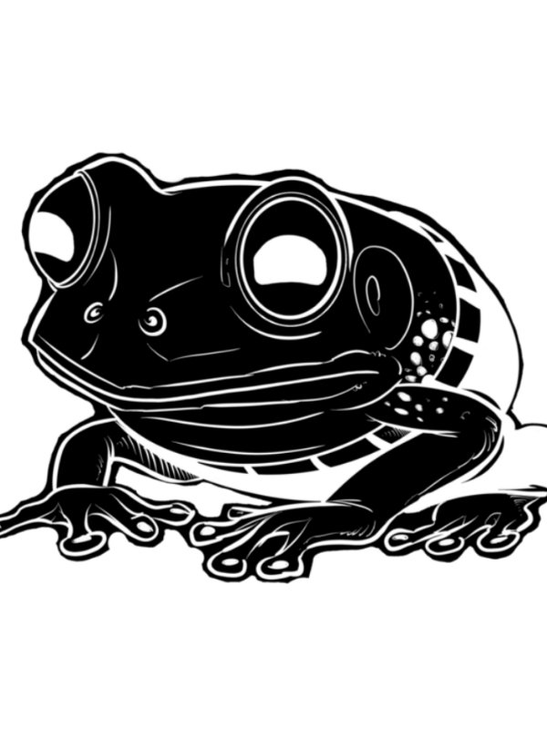 Frogpants Fridge Magnet! product image (4)