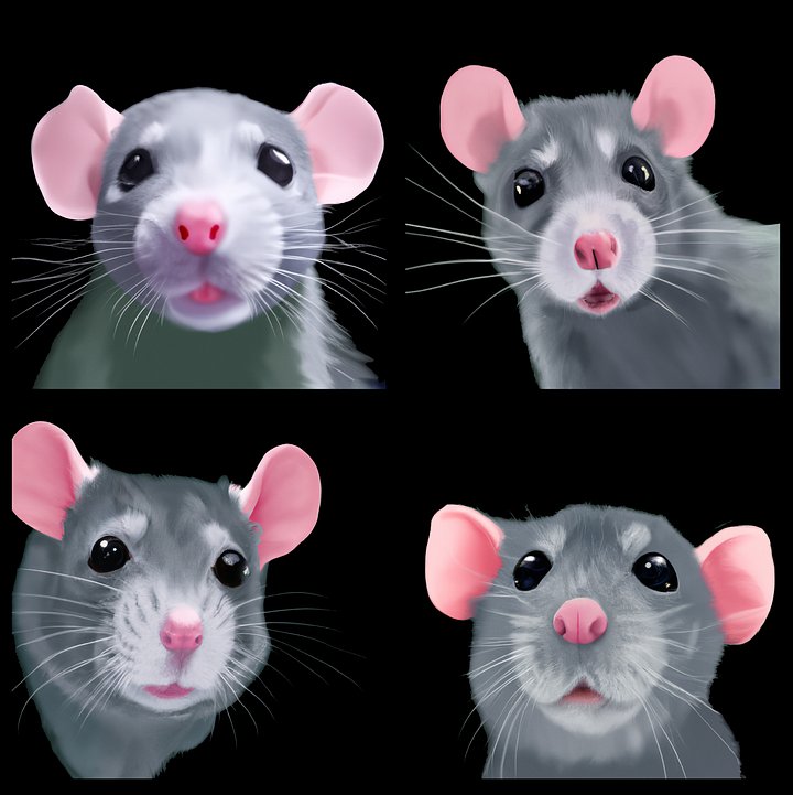 Four blue rats, flipflops product image (2)