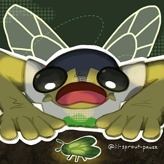 Cicada