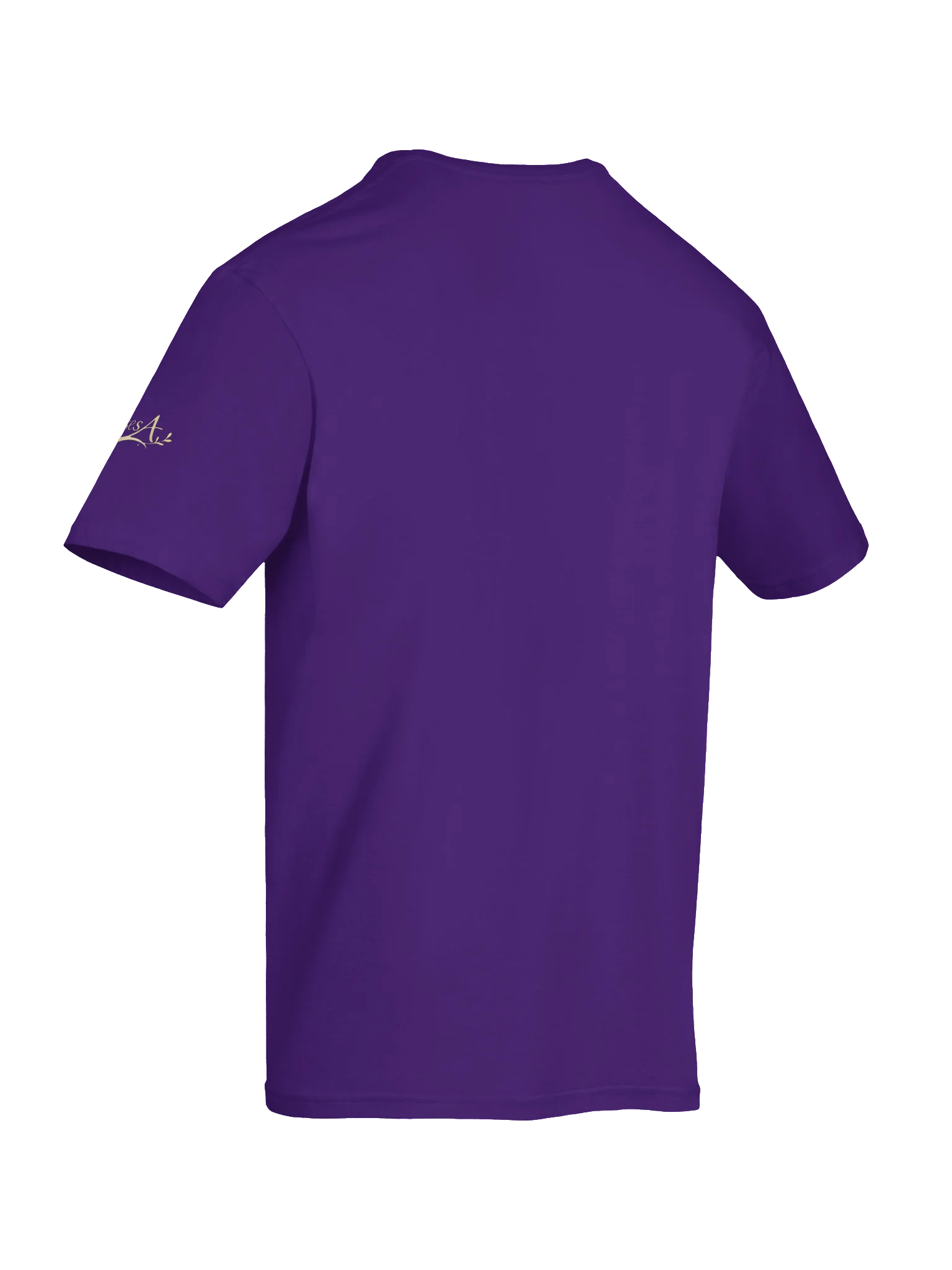Grateful Mode 2026 T-Shirt - Unisex product image (8)