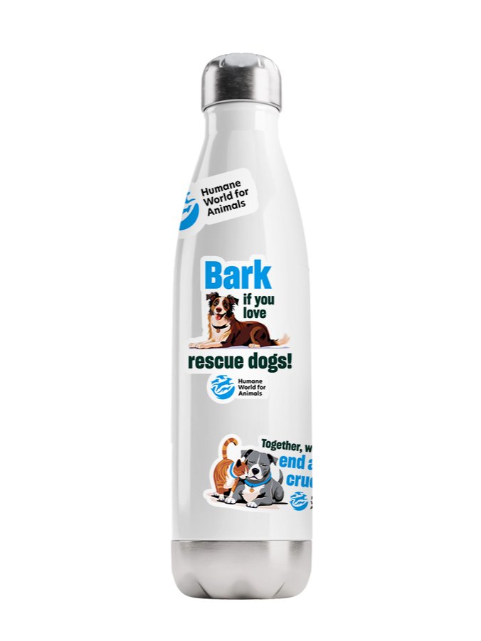 Companion animals sticker pack – Set of 6 product image (1)