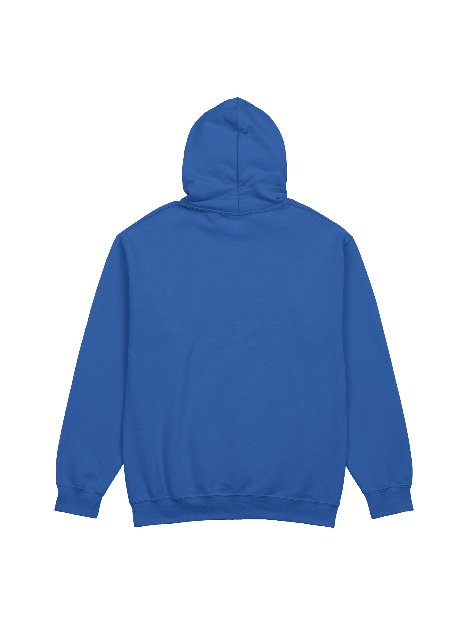 PSC "Say Cheese" Hoodie (Gold Logo) product image (16)
