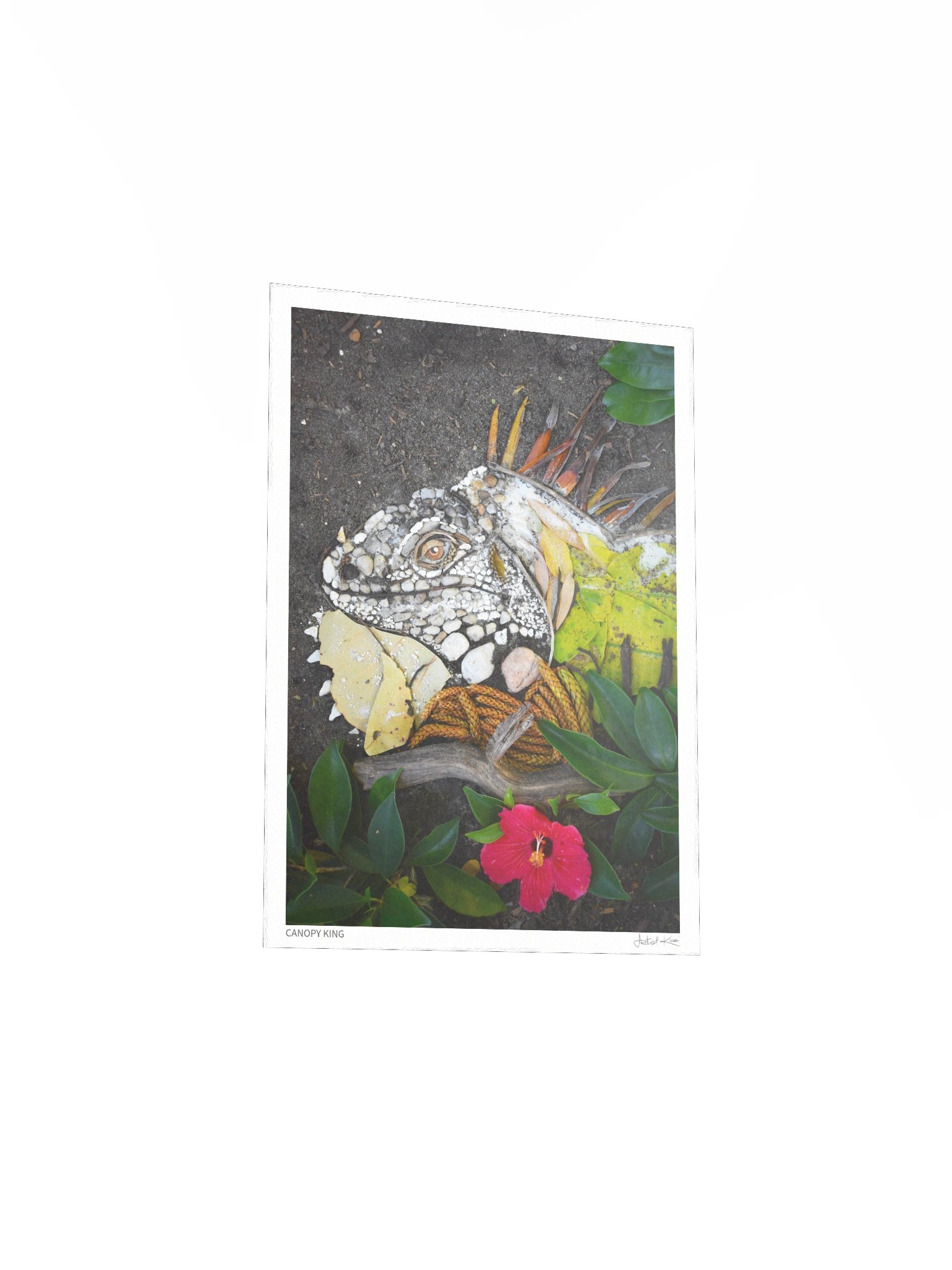 CANOPY KING | Fine Art Print product image (4)