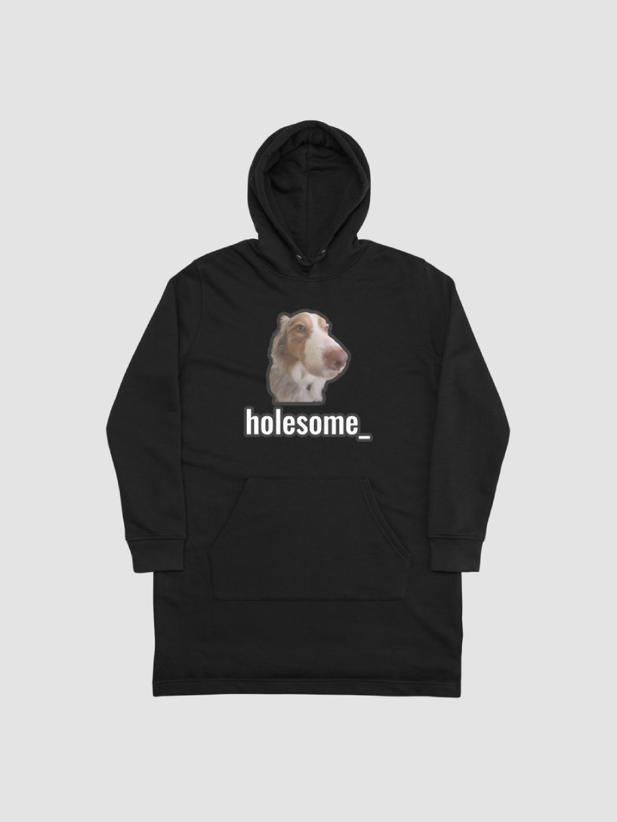 holesome Biggie Hoodie Dress product image (1)
