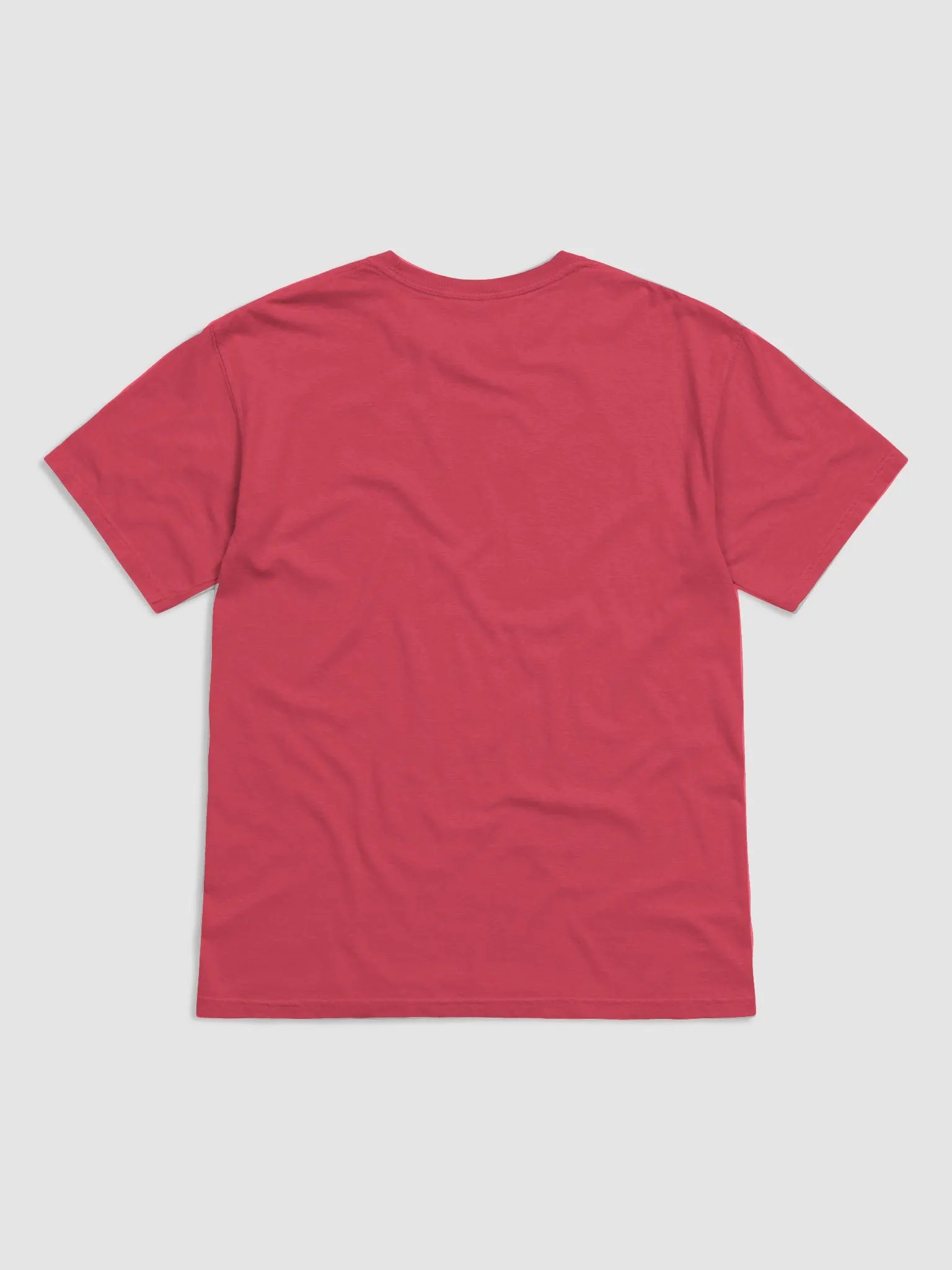 Making Fetch Happen Tee - Terrier product image (2)