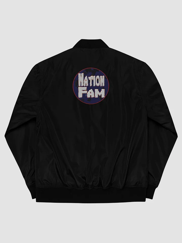 [Otakusnake18] Threadfast Apparel Premium Recycled Bomber Threadfast Apparel TA395J product image (2)