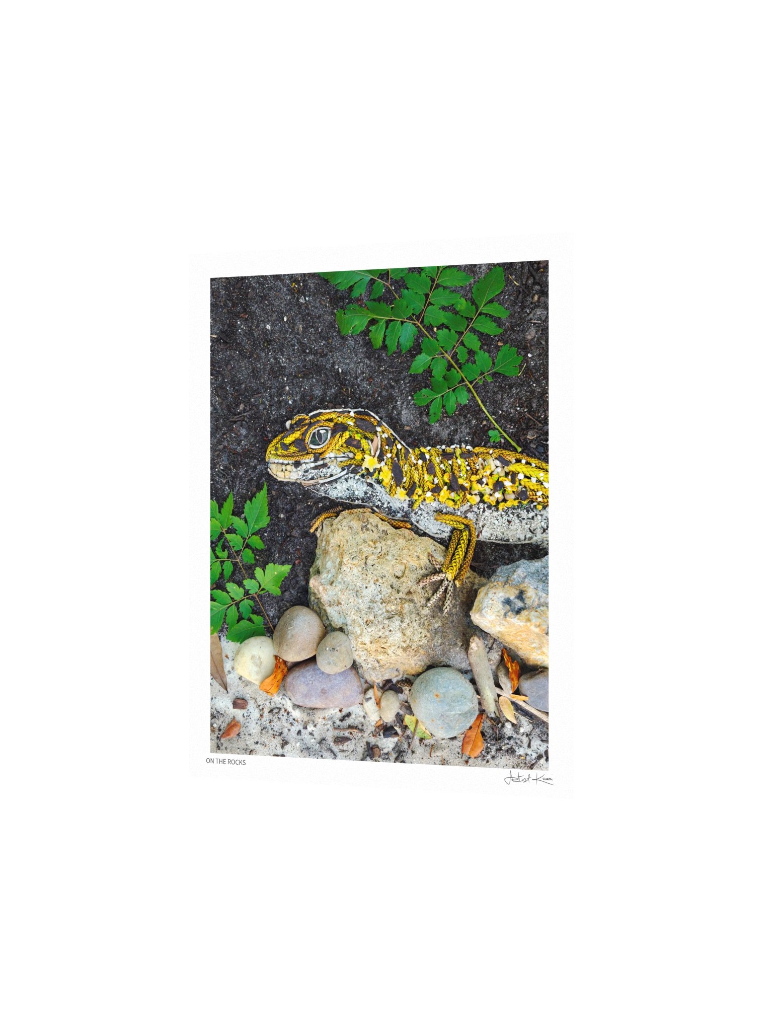 ON THE ROCKS | Nature Art Print product image (2)