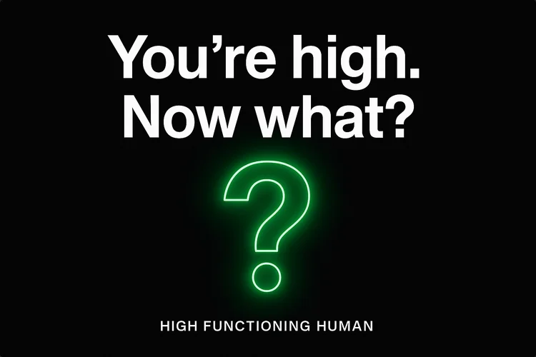How to Get Sh*t Done When You’re High product image (1)