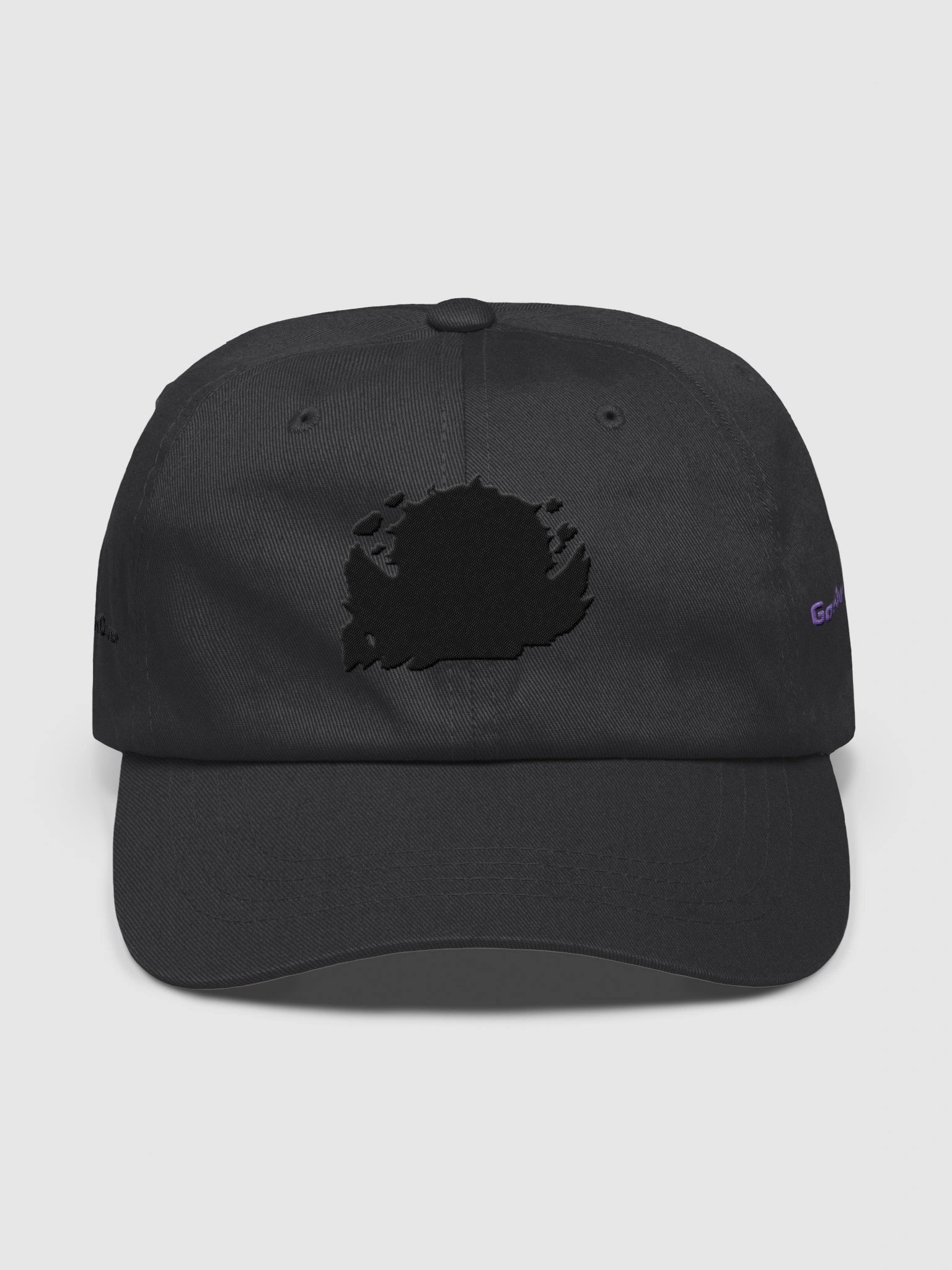 !gorra product image (1)