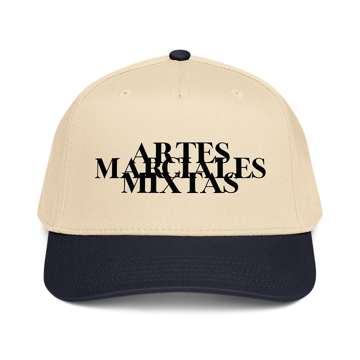 Artes Marciales Mixtas product image (1)