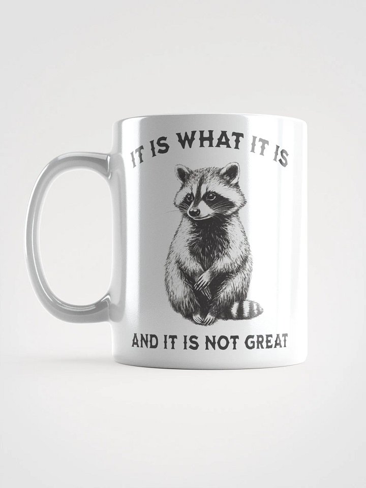 Raccoon It Is What It Is Mug product image (1)