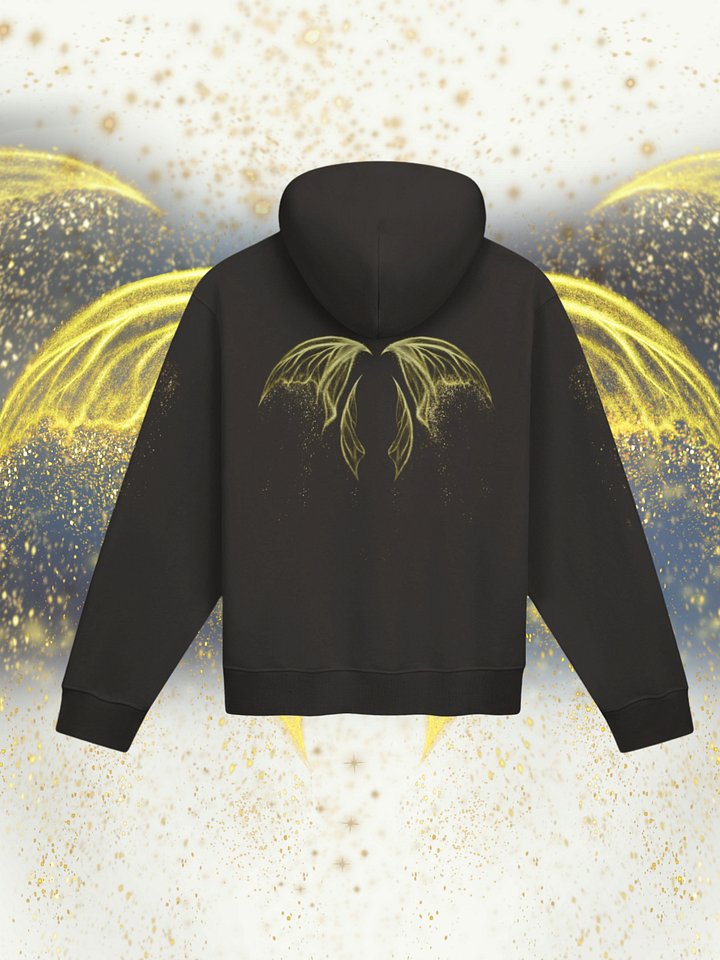 "SOAR" Hoodie [Street Team] product image (1)