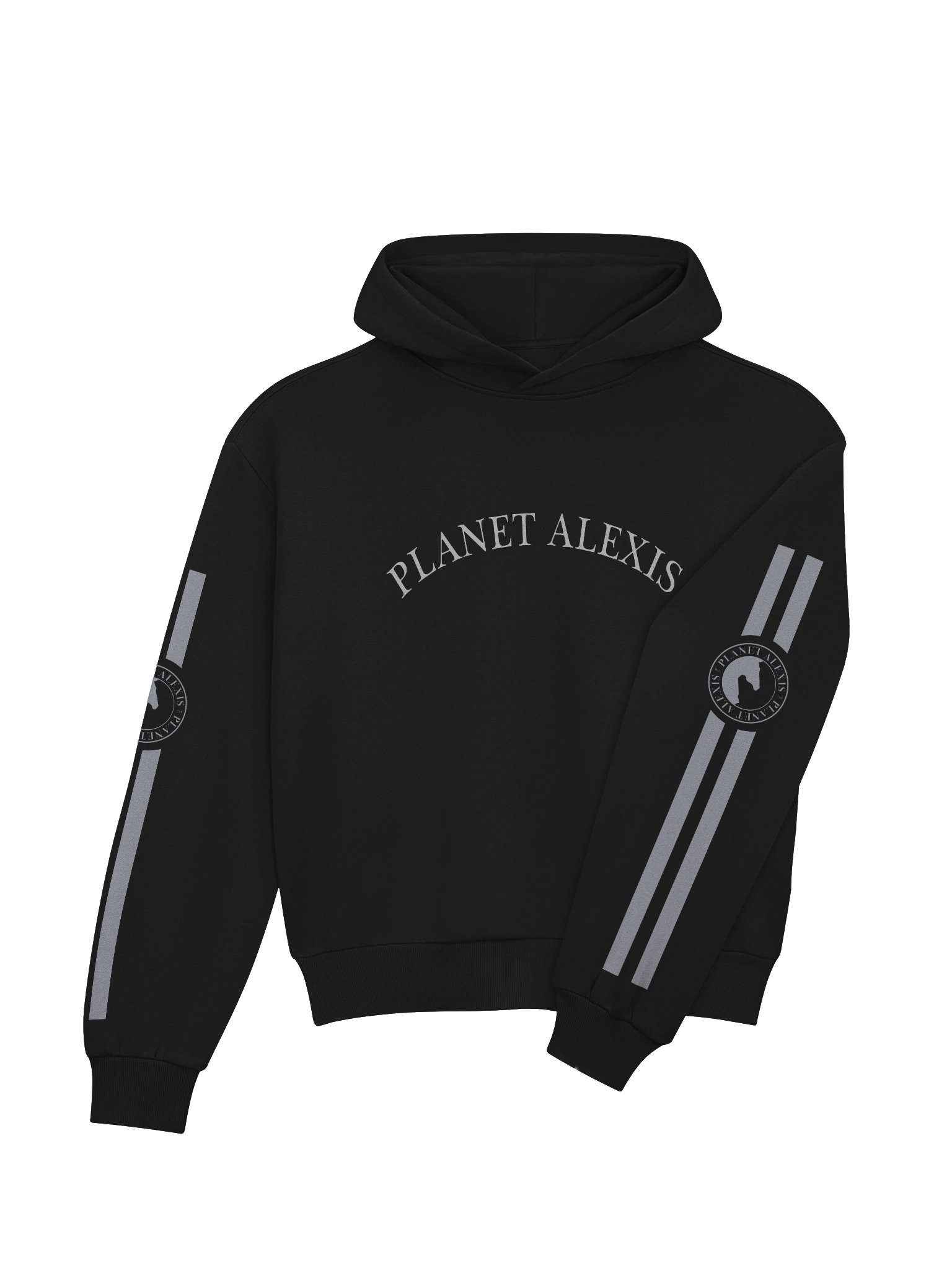 PLANET ALEXIS Arched Logo Hoodie product image (4)