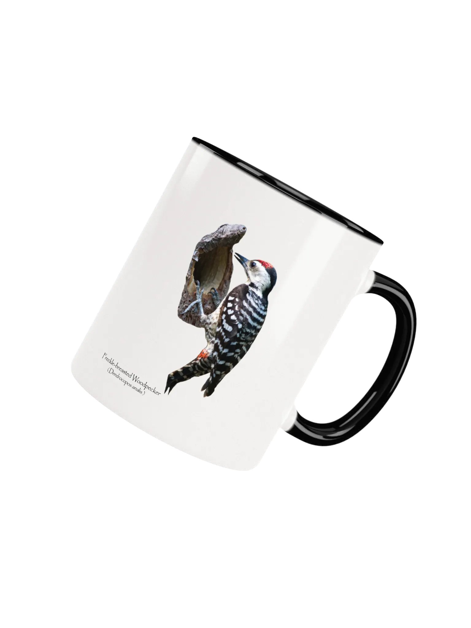Freckle-Breasted Woodpecker mug product image (32)