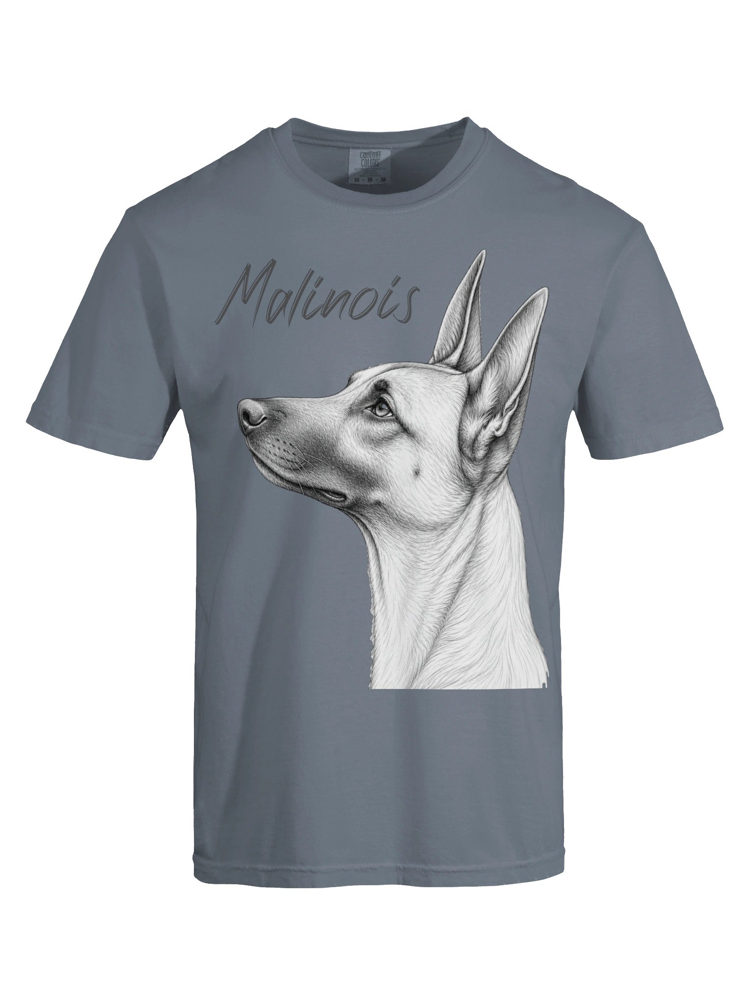Belgian Malinois Profile product image (33)