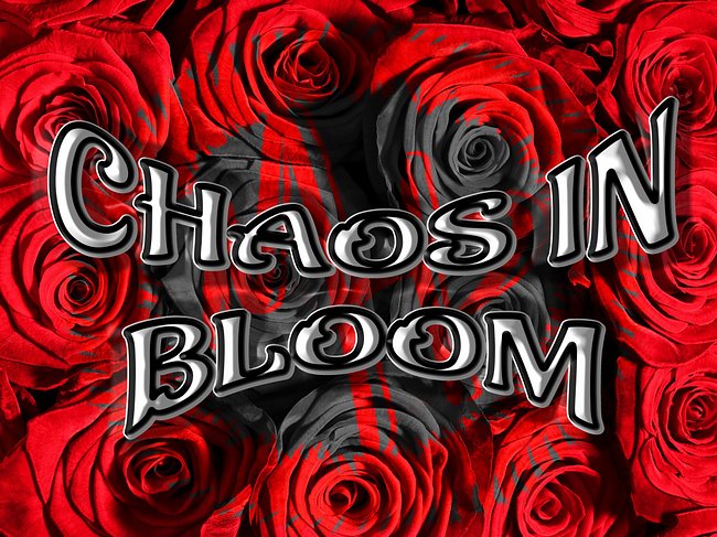 Chaos In Bloom