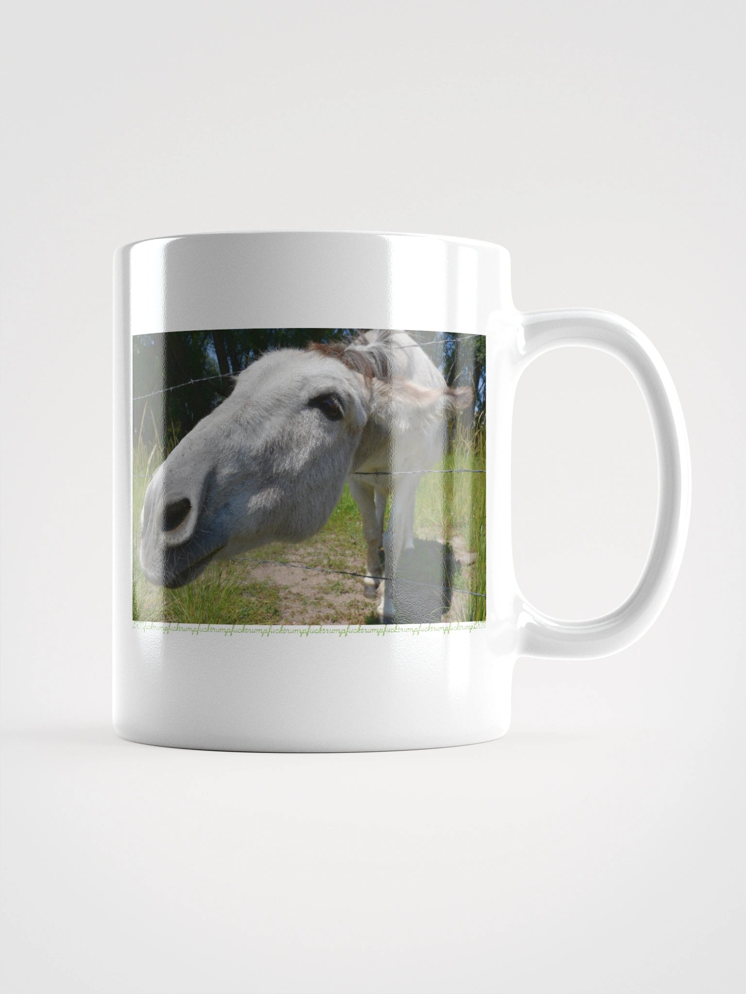 Donkey Says FT LKM Mug product image (2)